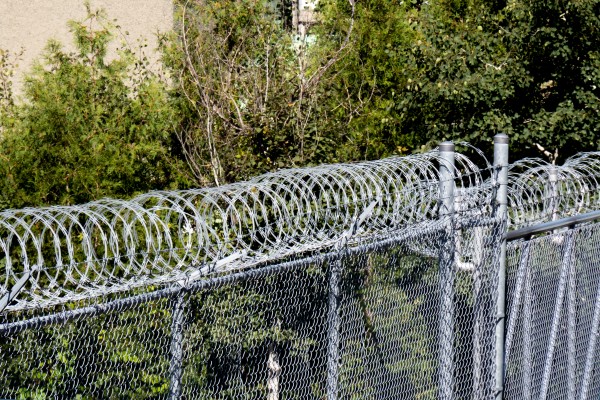 website template image